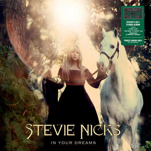 Stevie Nicks / In Your Dreams
