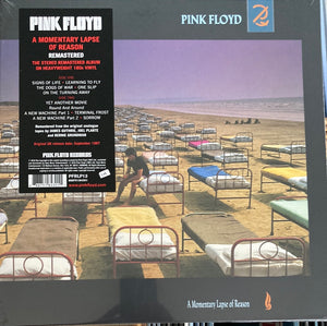 Pink Floyd / Momentary Lapse Of Reason