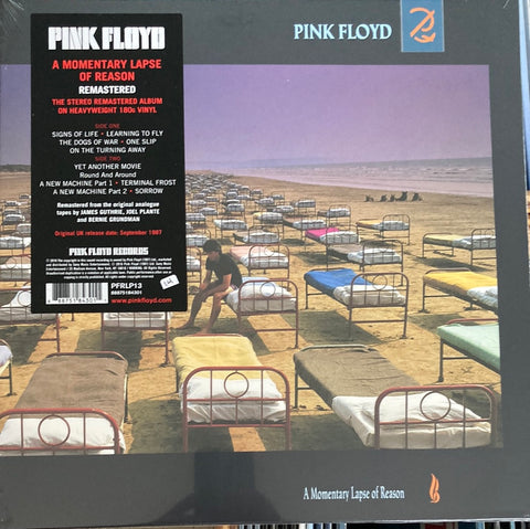 Pink Floyd / Momentary Lapse Of Reason