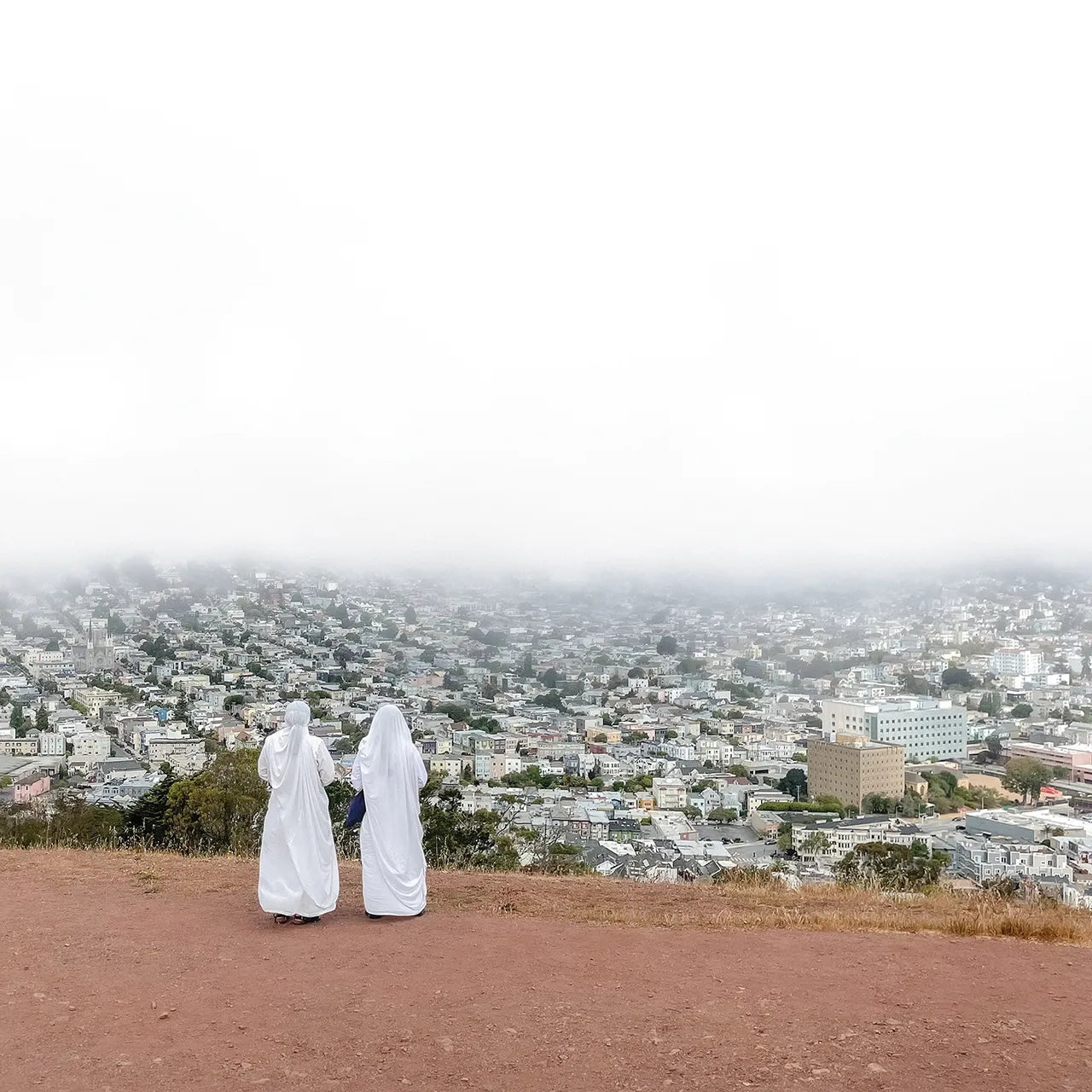 Death Cab For Cutie / Asphalt Meadows