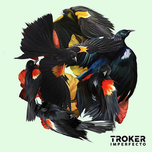 Troker / Imperfecto