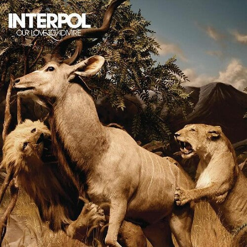 Interpol / Our Love To Admire