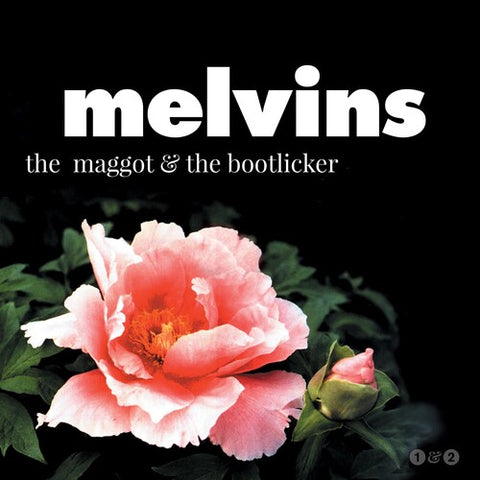 Melvins / Maggot & The Bootlicker