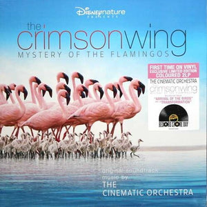Cinematic Orchestra / Crimson Wing / Mystery Of The Flamingos