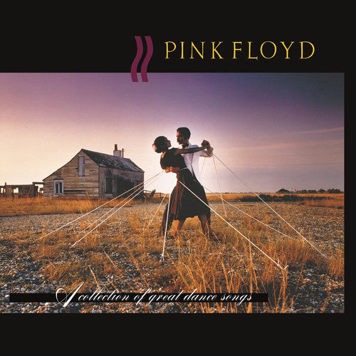 Pink Floyd / Collection Of Great Dance Songs